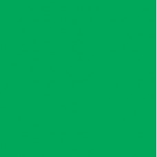 896650 - Green blank decal suit 444 series switch. (1pc)